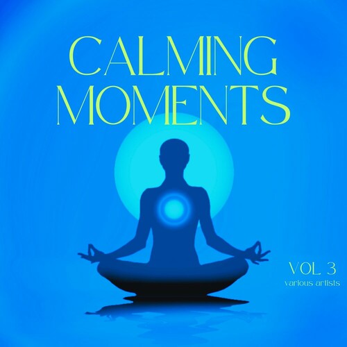 VA - Calming Moments, Vol. 3 (2024) [FLAC]