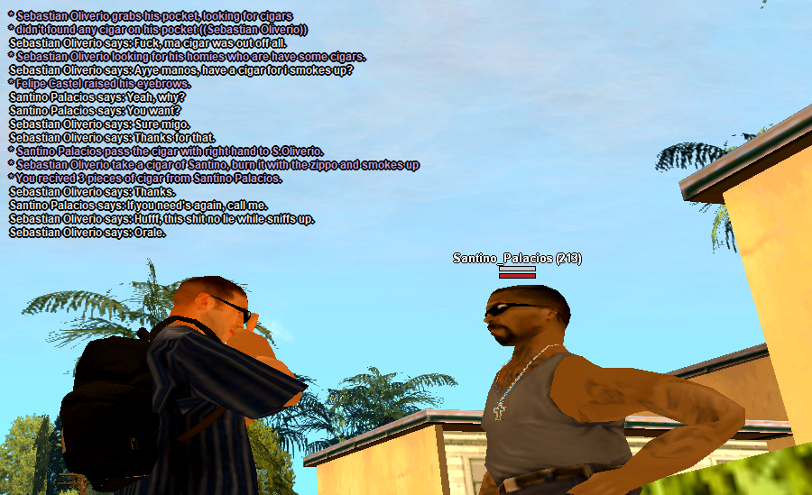 SS5.png