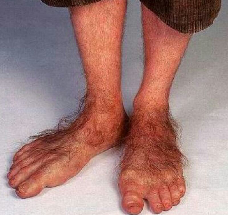 800px-Hobbit_feet