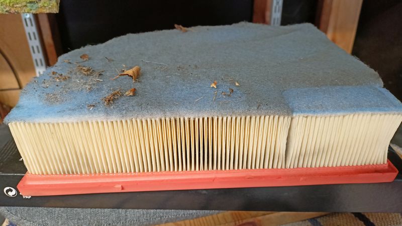 IMG20250425181331 - kopia