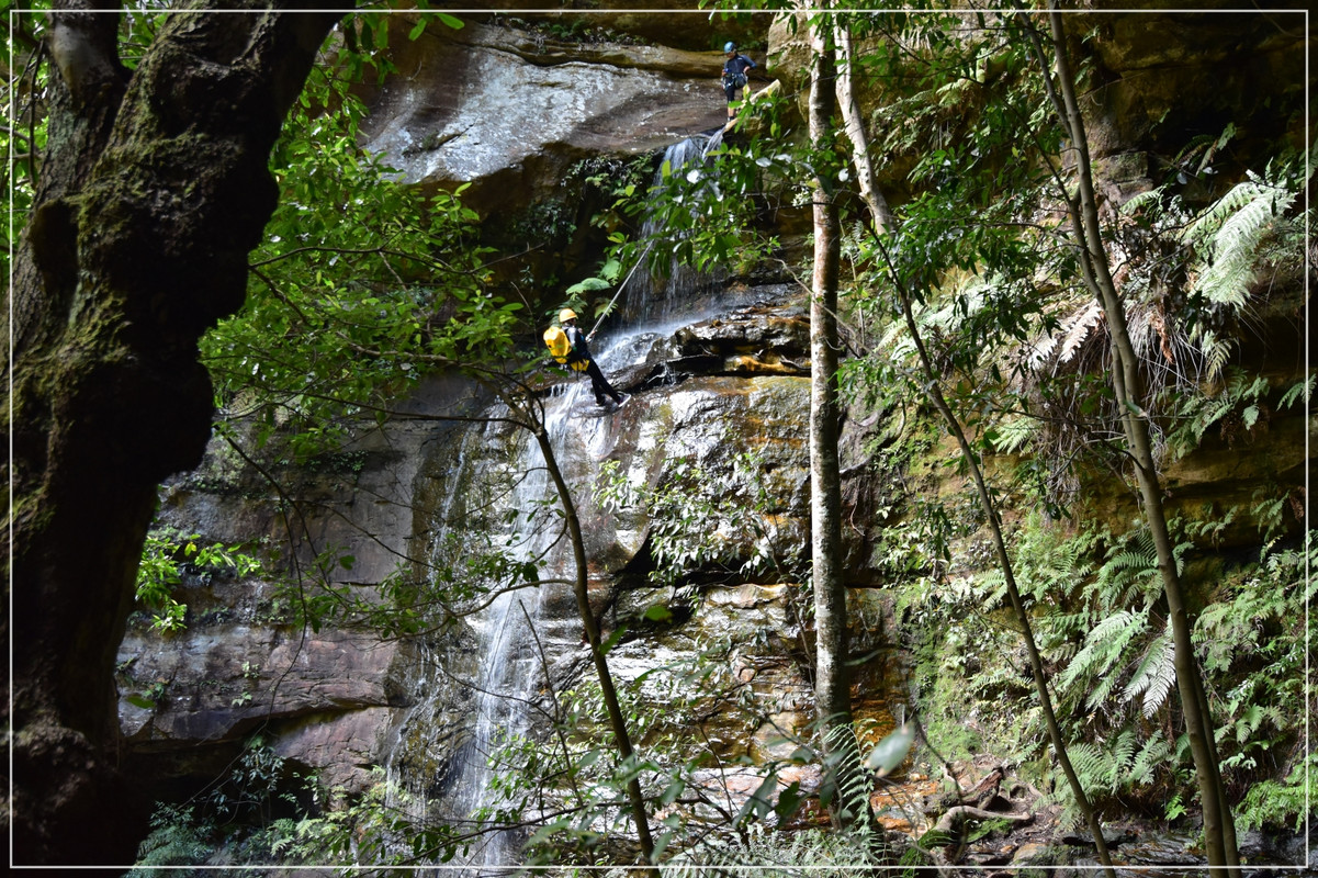 Blue Mountains - Australia (I): toma de contacto (10)