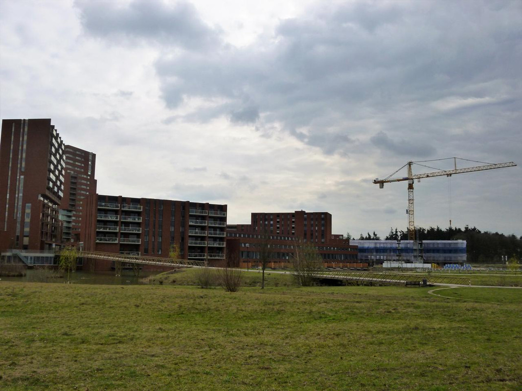 P1020020 — Postimages