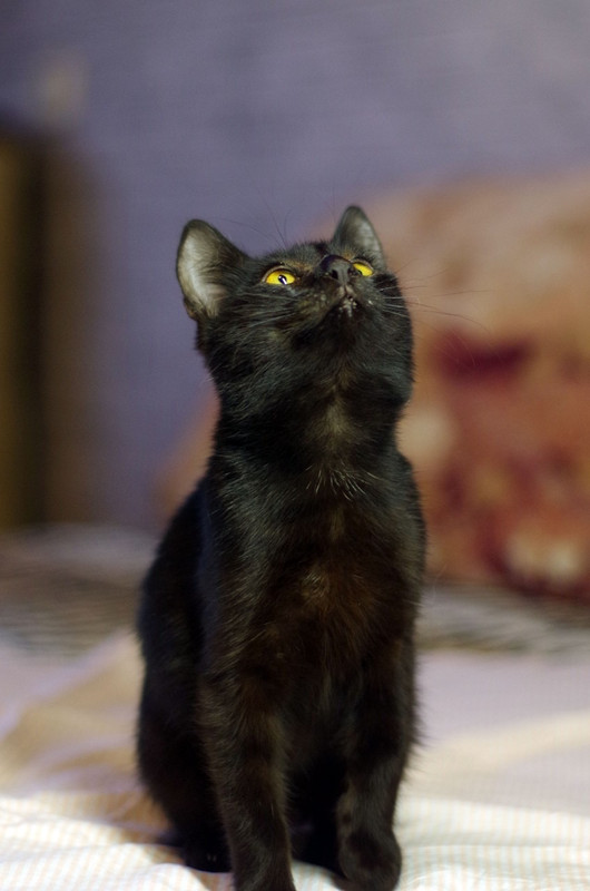 0FBB20F0-2ED1-427F-B065-981B435DC2FD