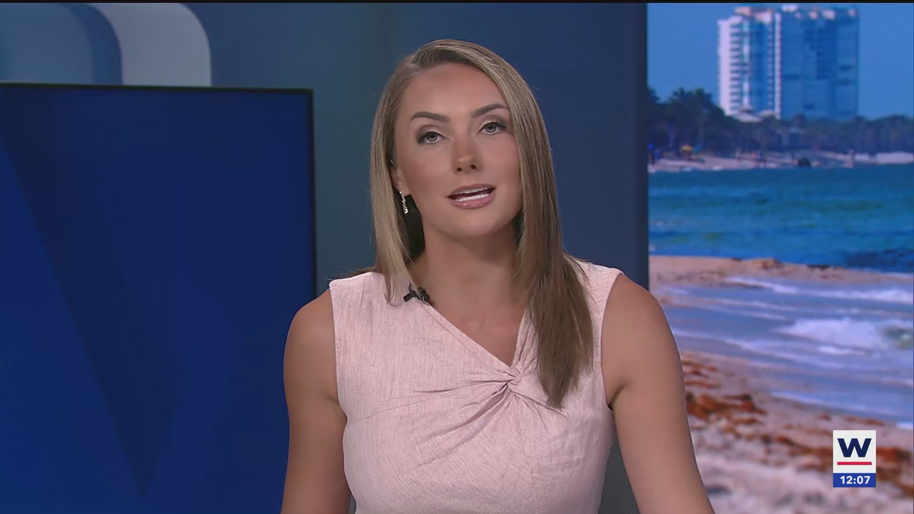 08.13 - 17.00.00 - The WINK Noon News  ᴺᵉʷ. Midday news update..ts_snapshot_13.46.441
