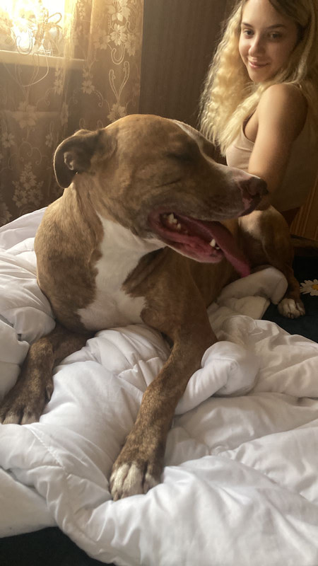 BB60A4A4-0E0E-4DD8-907F-6A2016D5D2A8