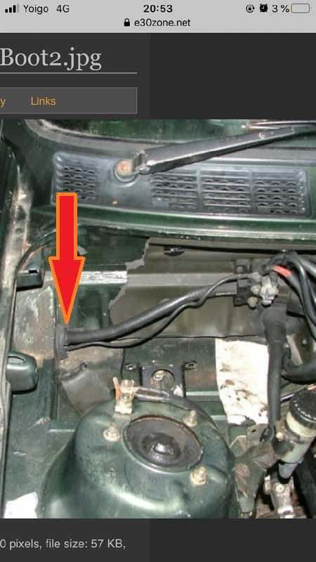 positivo2