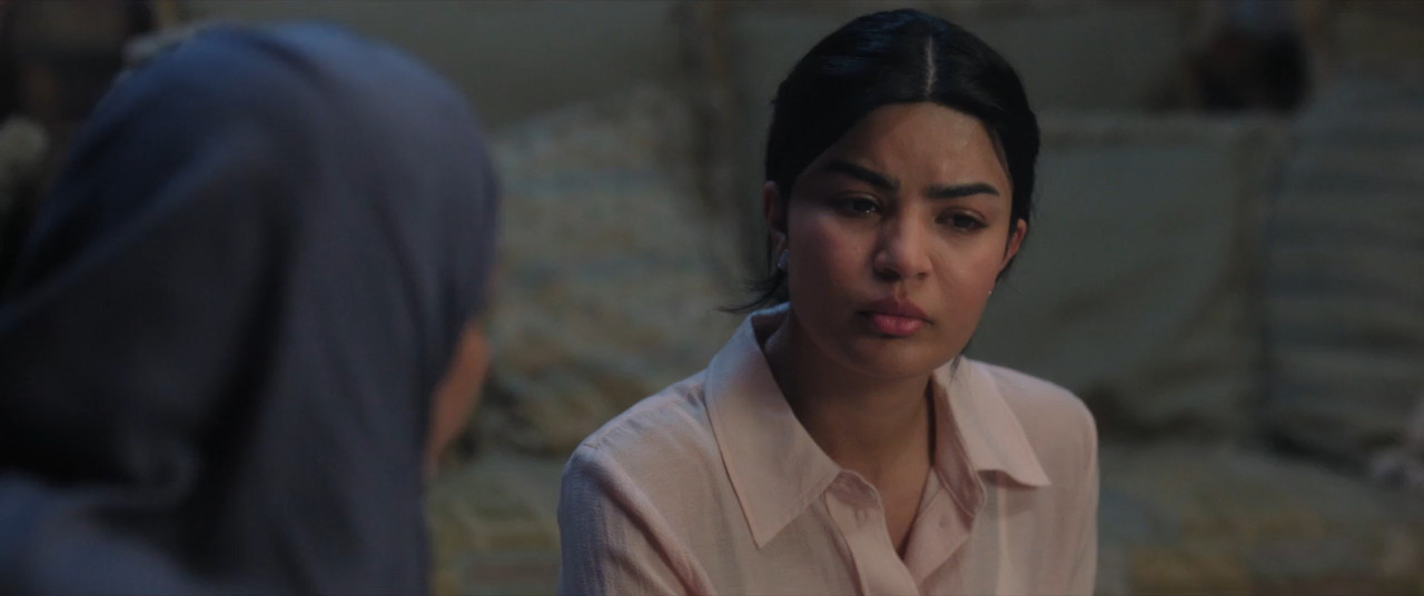 Unidentified 2026 WebRip [Hindi + Tamil + Telugu + Arabic] 480p 720p ESub Screenshot