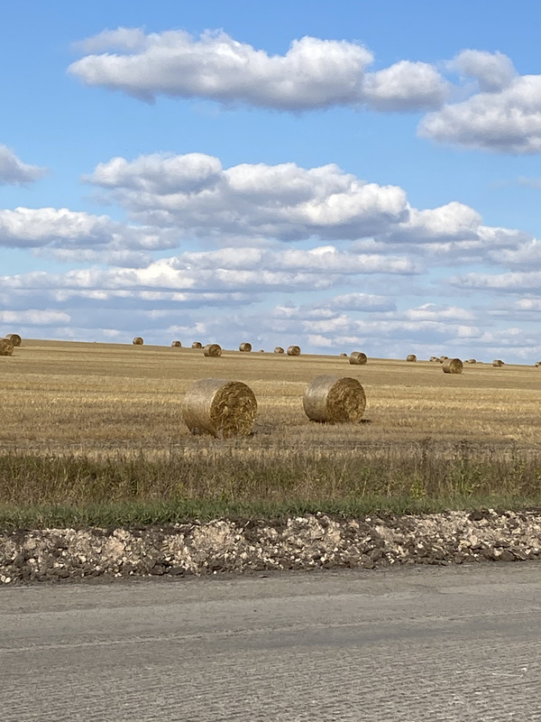 BC0DAD55-E0ED-4327-9BFA-3573E81CEB92