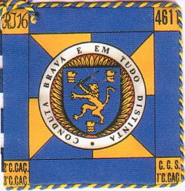 BCac4611