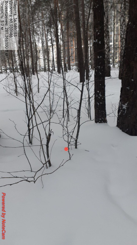 photo 21 2026 01 31 12 33 09