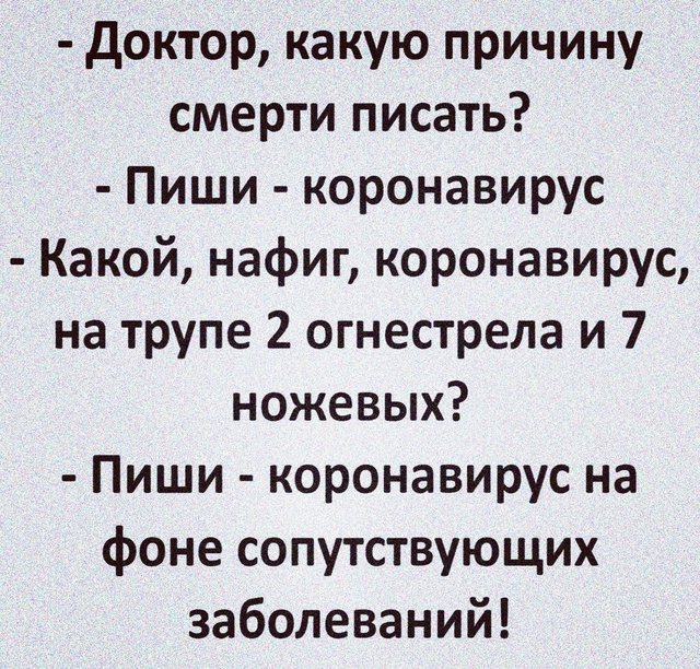 https://i.postimg.cc/sDGLDjT9/original.jpg