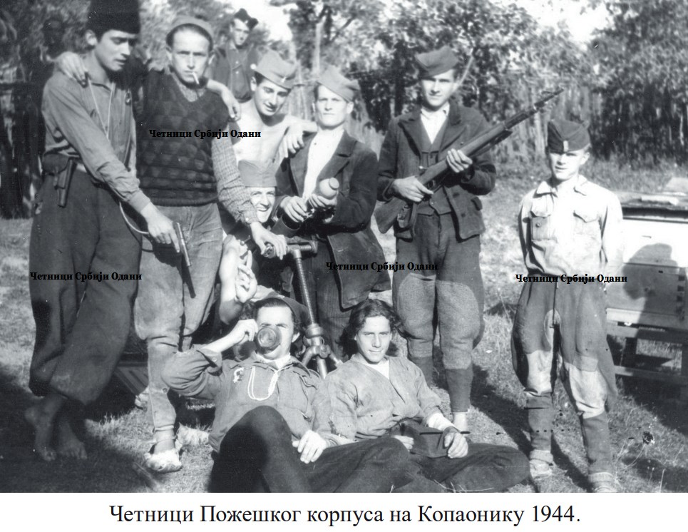 [Слика: 314498135-168799219132999-5583192410334716162-n.jpg]