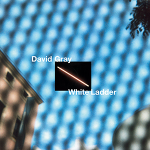 David gray white ladder
