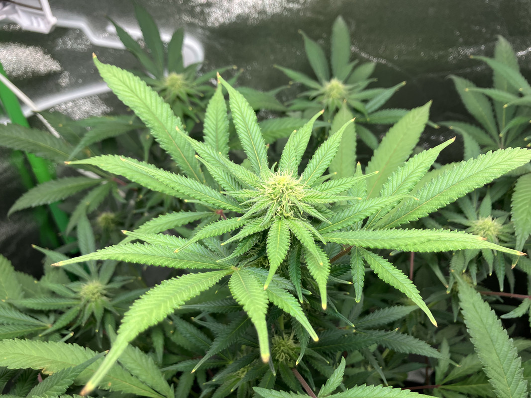 EE46AE4B-0B34-4133-8222-EA41AAF26CAF