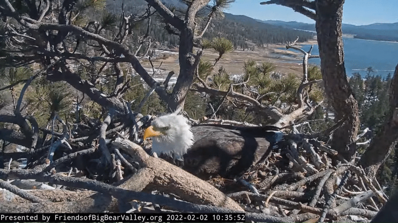 Webp.net-gifmaker (3)