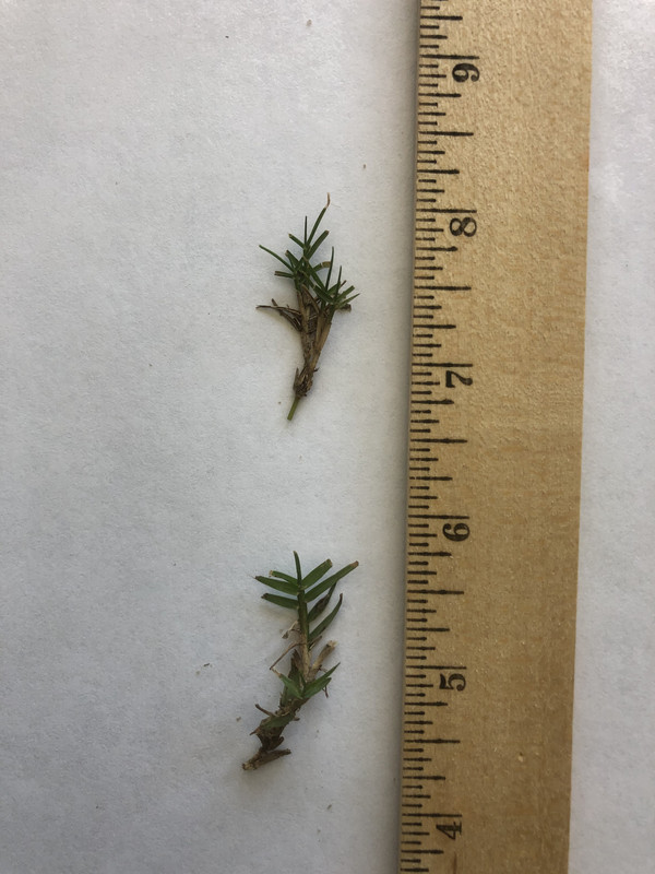 D4712037-3069-4A37-82A8-624A08FB85C1