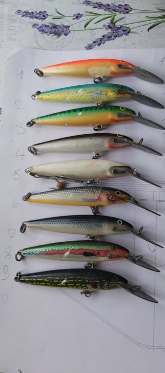 [vendo artificiali]rapala 242806016-422556705902439-1735530381732766956-n