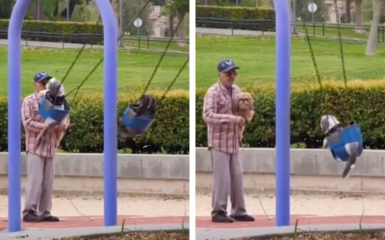 Abuelito se vuelve viral por columpiar a sus perros en el parque