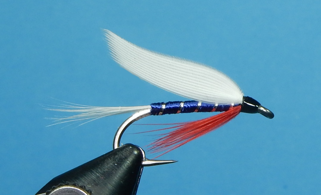 Yankee-1080.jpg