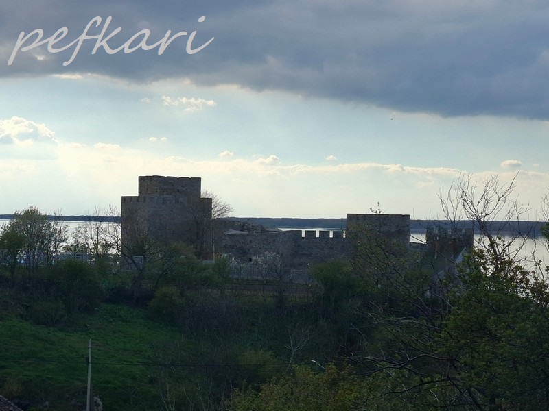 Slika