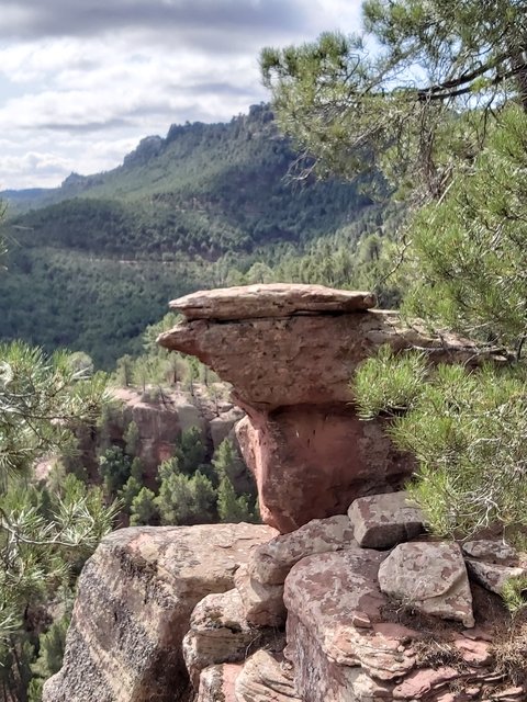 DIA 4. ALBARRACIN. PINTURAS RUPESTRES Y PAISAJE DE LOS PINARES DE RODENO - Rincones perdidos: Sierra de Albarracín y Montes Universales. (5)