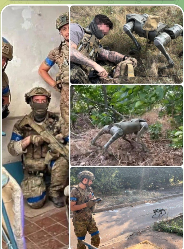 Ukraine-introduced-more-than-30-robot-dogs-from-Great-Britain-into-battle.jpg