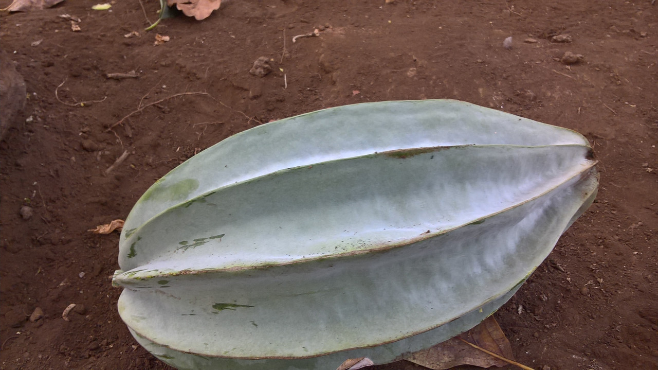 WP_20190203_15_47_27_Rich_LI