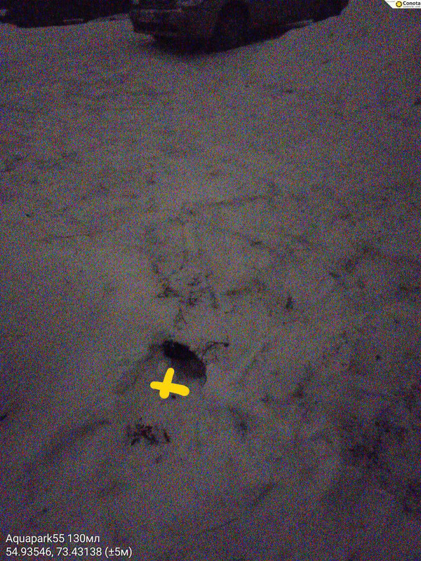 photo 2 2025 12 08 00 48 56