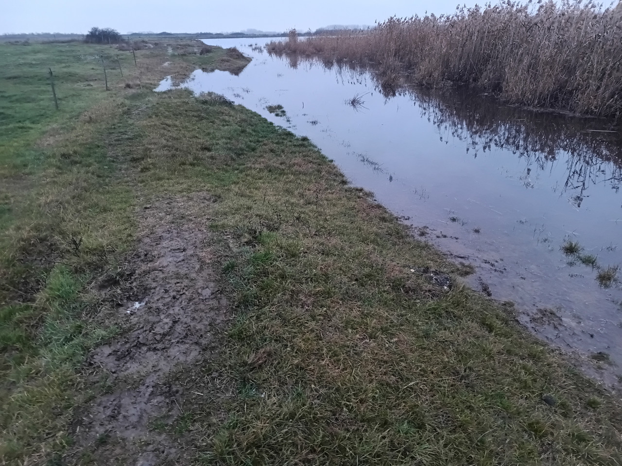 IMG 20251207 153743 415