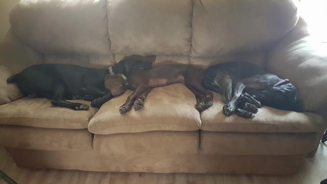 20170419_102617_1492612015806