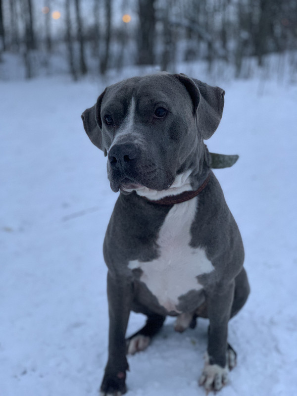 3B7304C8-5DA5-4F0E-A471-E1F50197A830