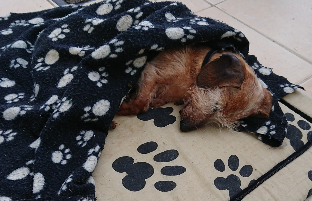 [Image: 20220906-185337.jpg]