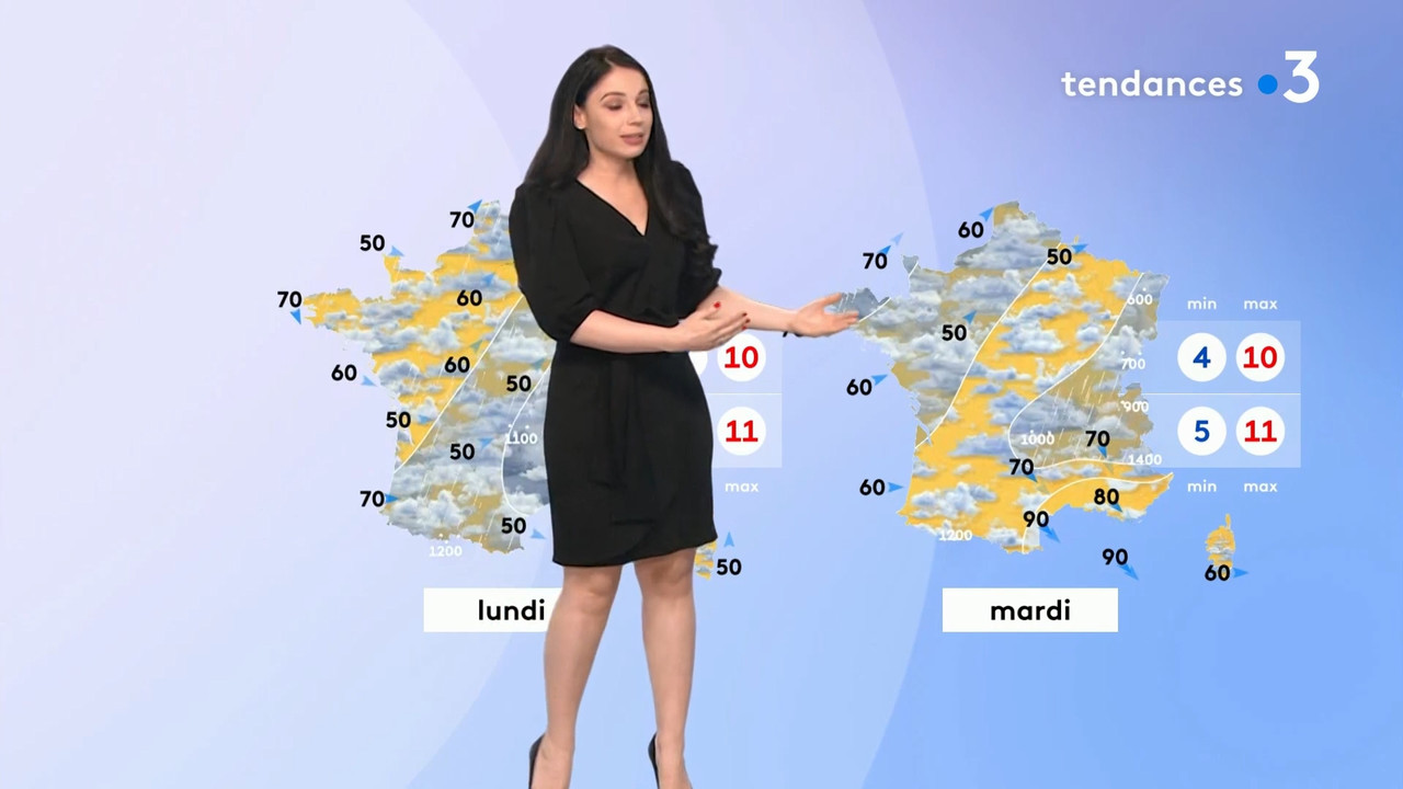 2022-02-12_11_10_Fr3_Meteo.mp4_snapshot_09.55.838