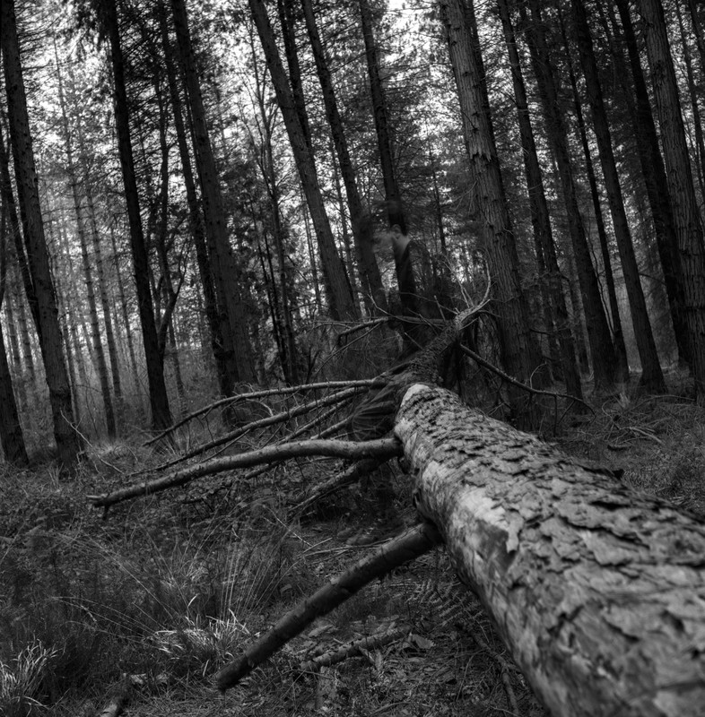 img20250309_21453292B