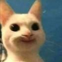 fqcat