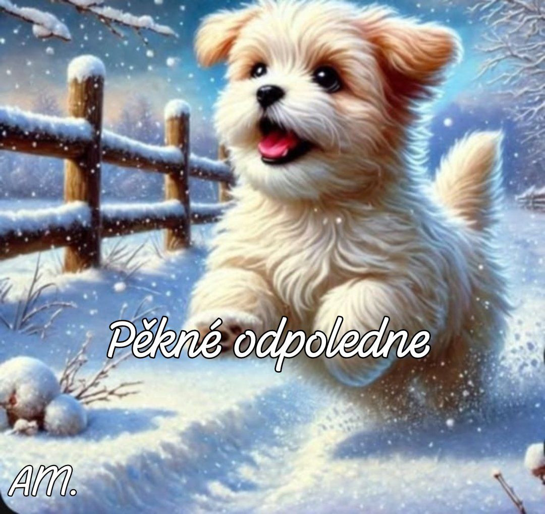 618696258 26040561705548144 4158875777692073334 n