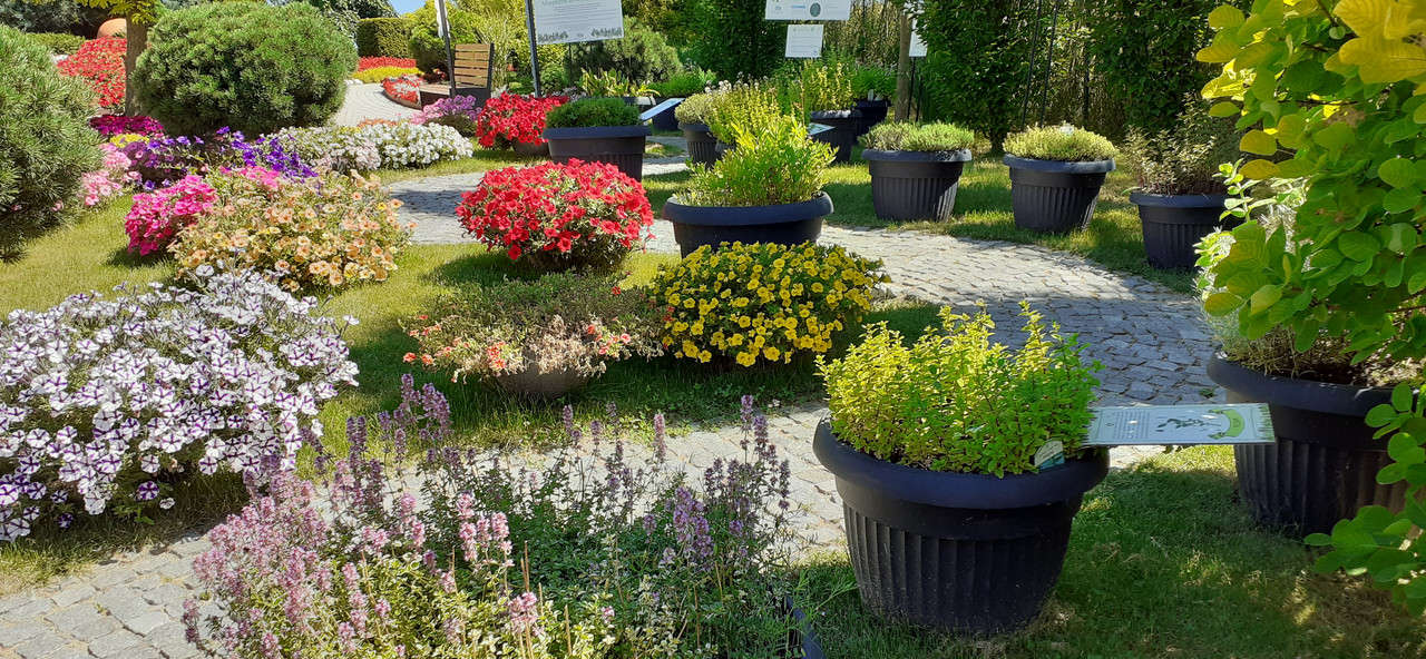 009 - 20200801_131204