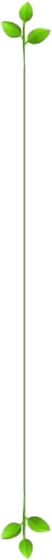 lineav.png