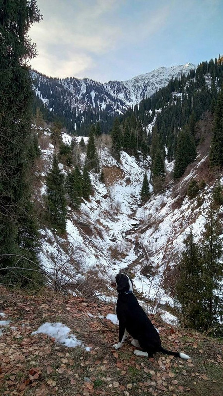 WhatsApp Image 2024-01-17 at 14.36.44 (2)