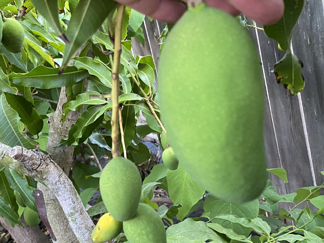 20CC694F-CD98-41CF-ACD0-54A09277E511