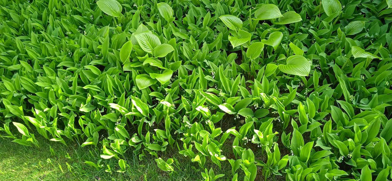 IMG_20240414_164018_1[1]