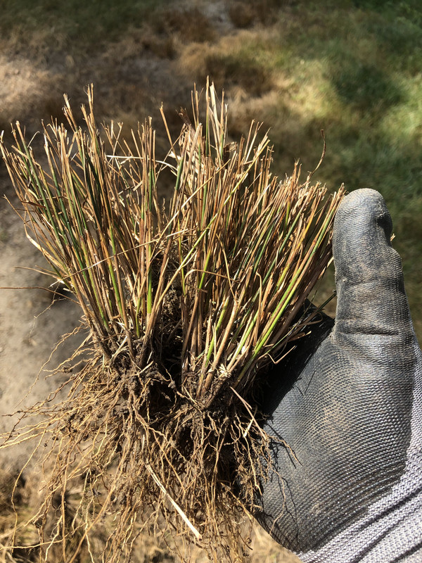 08C0377C-DEB2-4A69-8DD5-A0F4CD698E6F