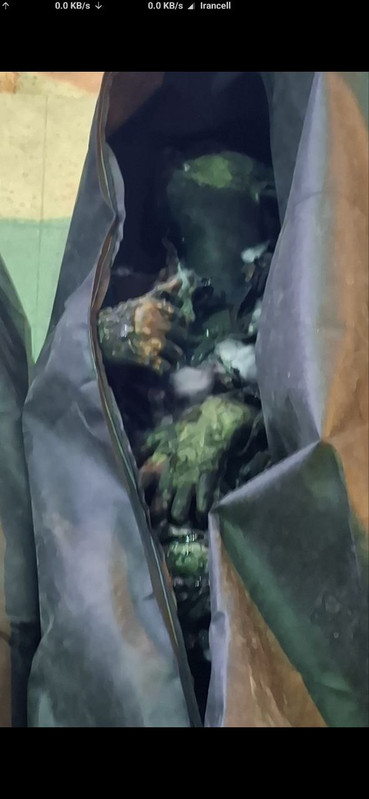 IMG 20260208 082443 213