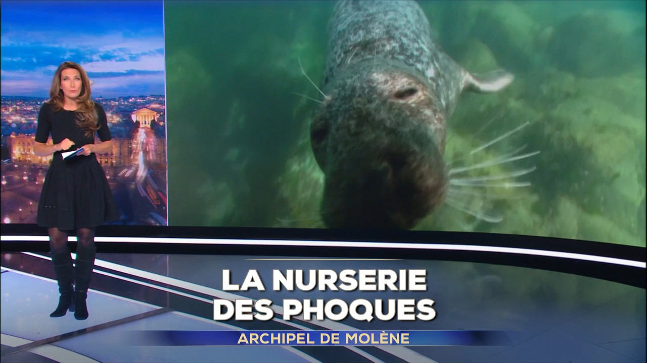 2023-01-27_20_00_TF1_Le-20h.mp4_snapshot_04.00.520