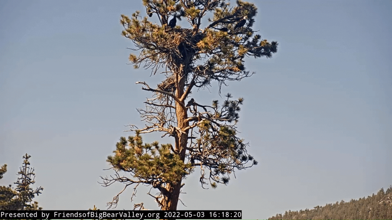 Webp.net-gifmaker (1)