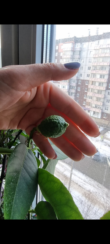 Screenshot_20221211_203716_Gallery