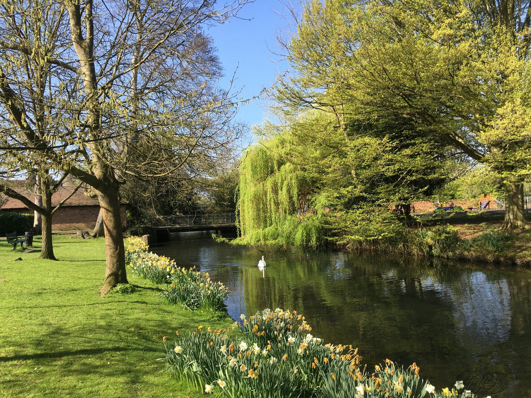 spring-castle-grounds-HD.jpg