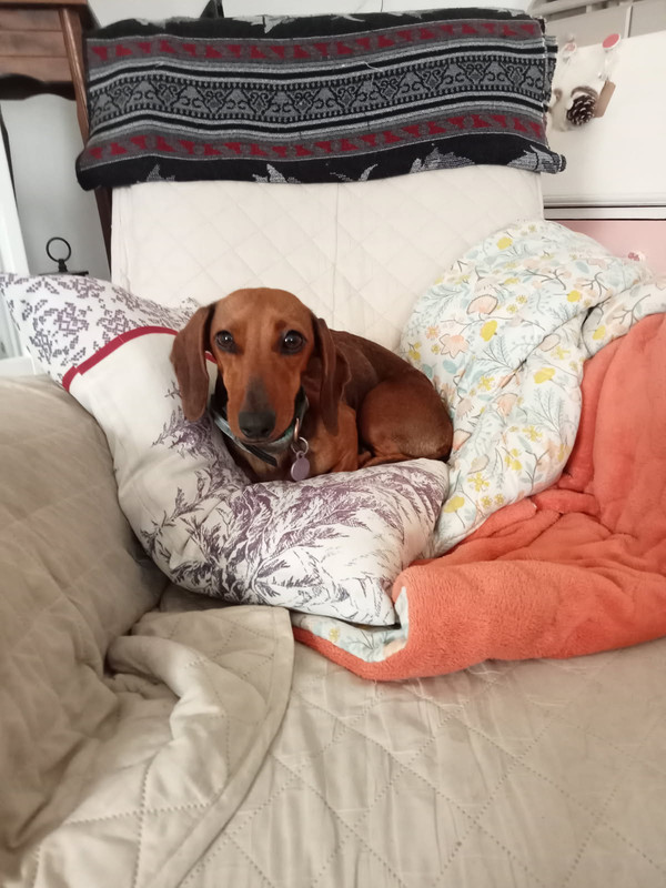 [Image: IMG-20250902-133813.jpg]