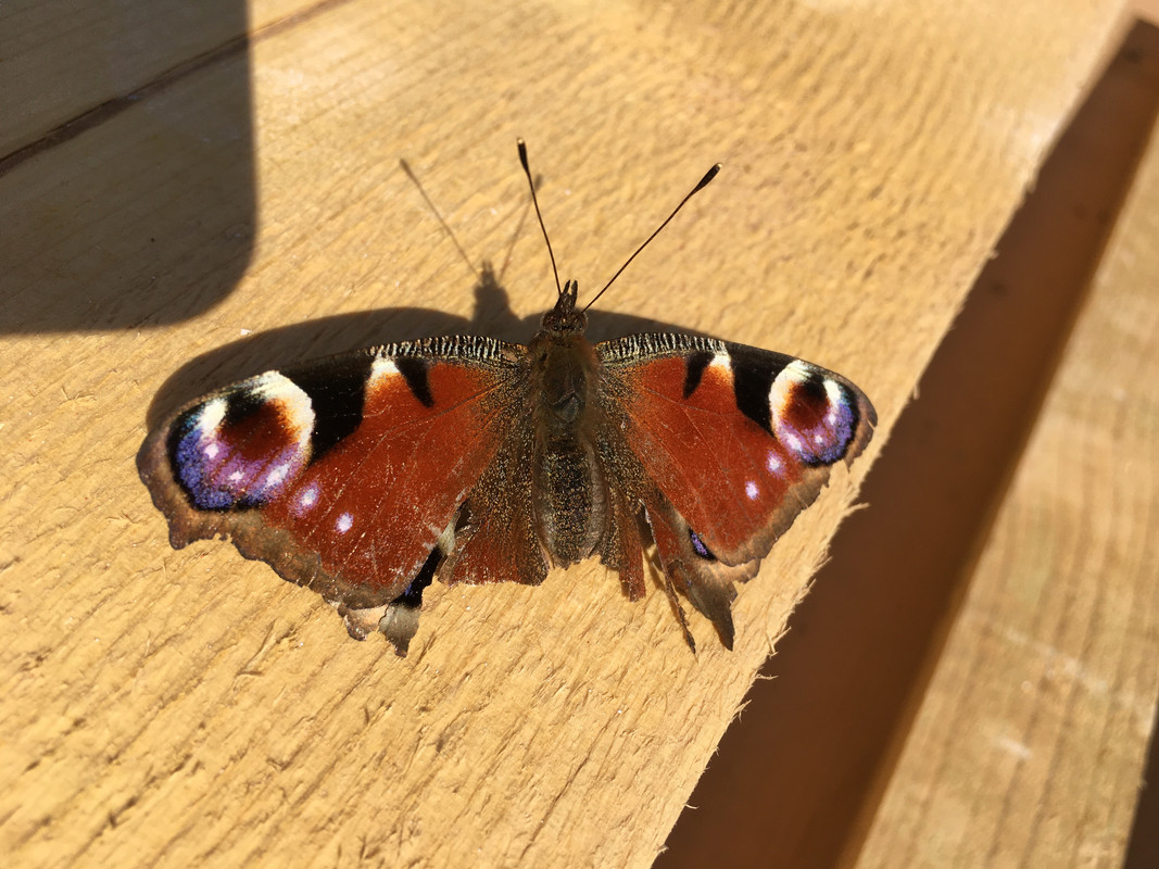 9272C2D8-67AE-4C65-82E9-3537BB67CEEE