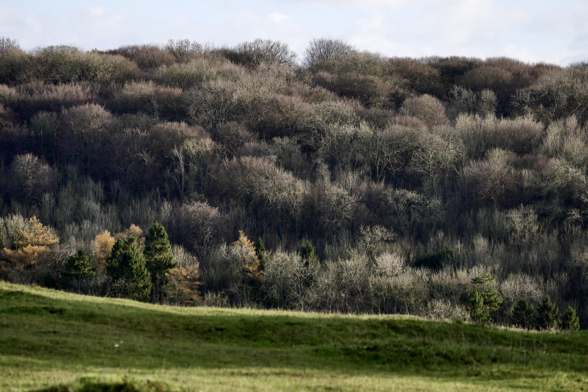 D28202EE-F9D3-4537-AE32-13F652ADFCEA